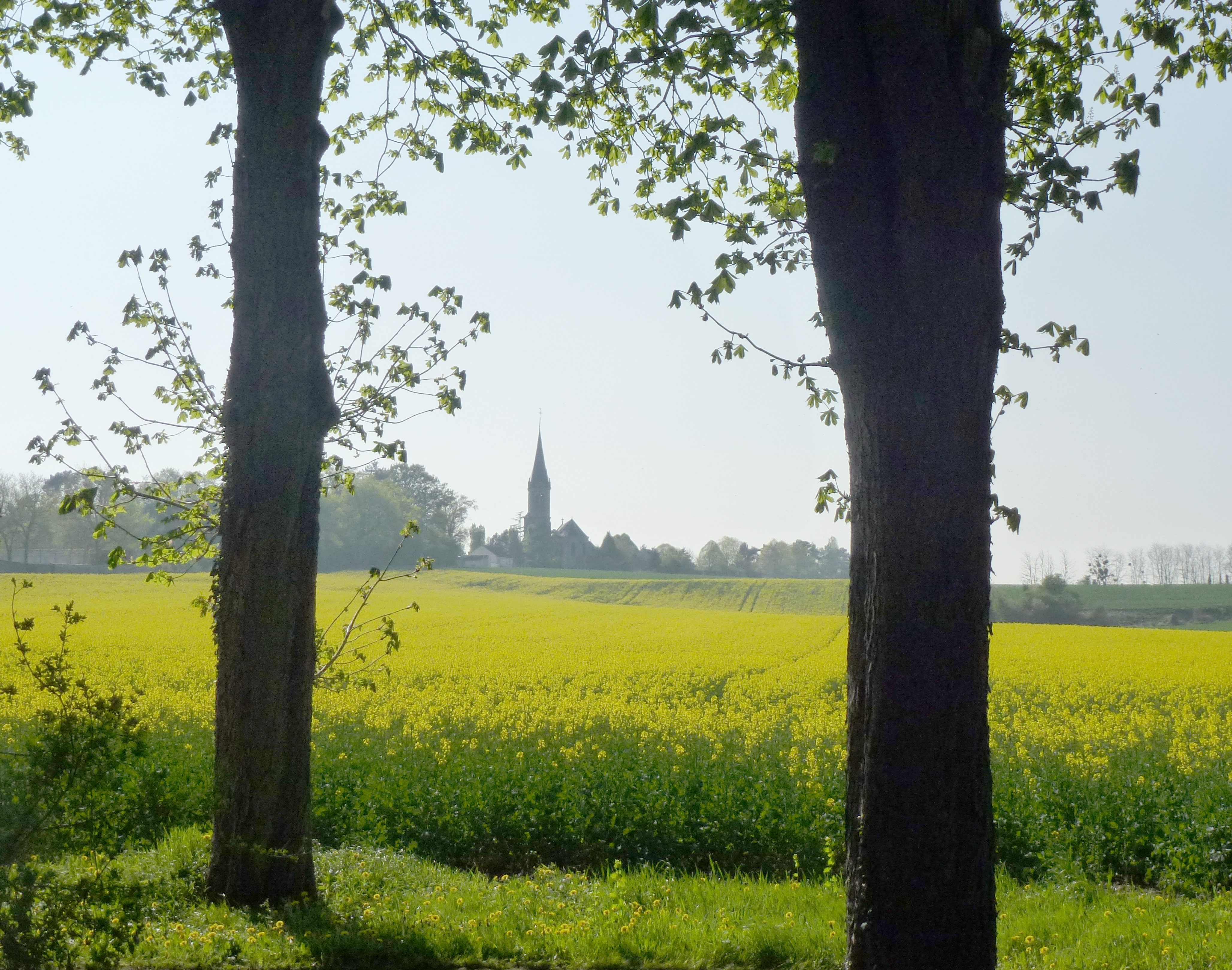 L'église et la commune